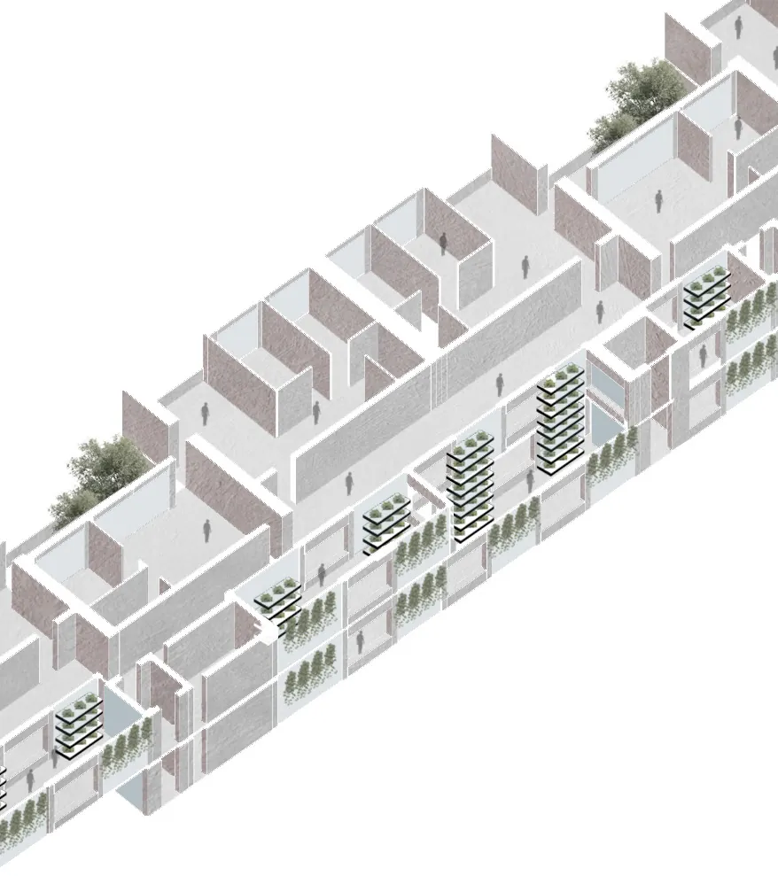 Cutaway axonometric of a long block with homes beside a growing corridor.