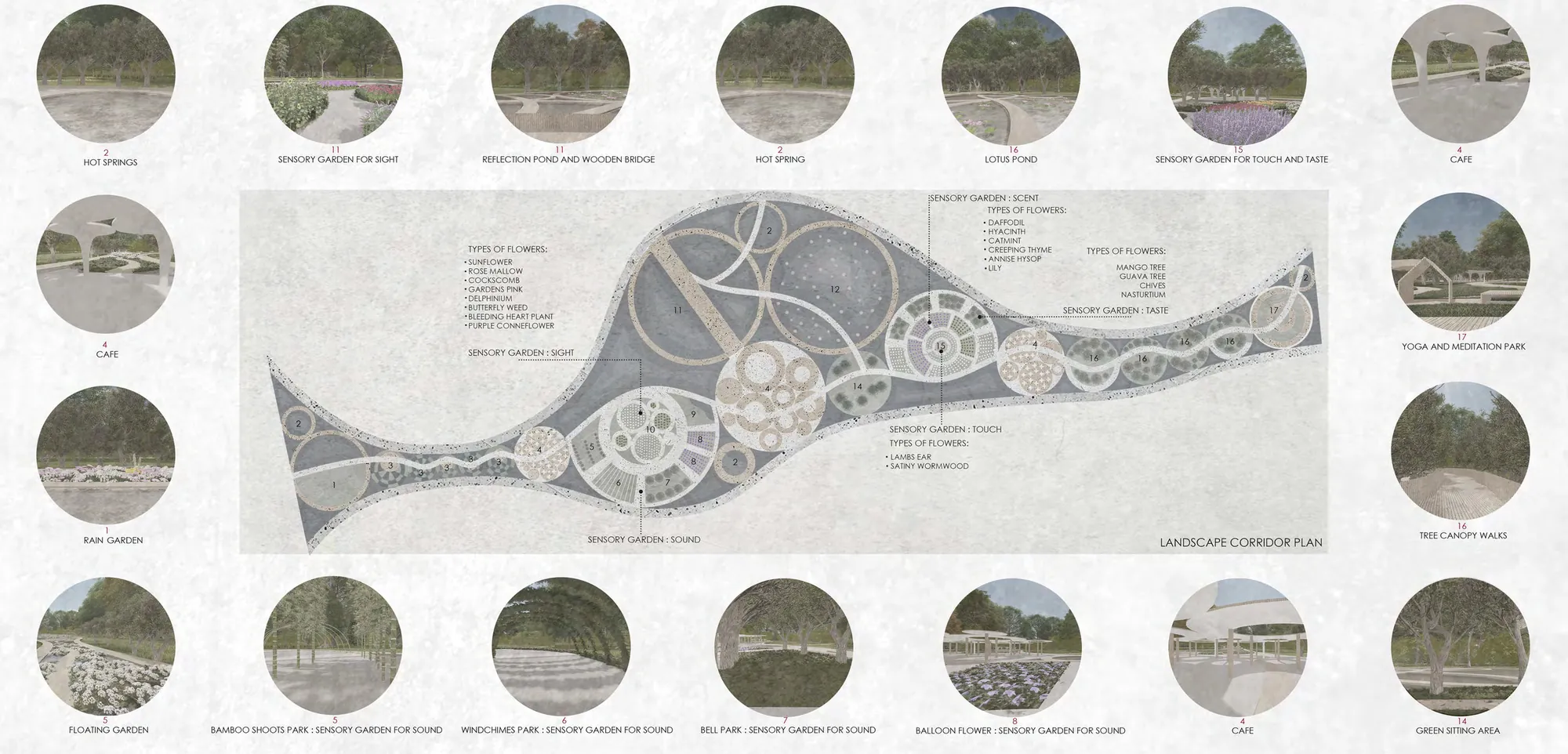 Plan of a leaf-shaped corridor ringed by circular photographs of gardens, ponds, cafes and canopy walks.